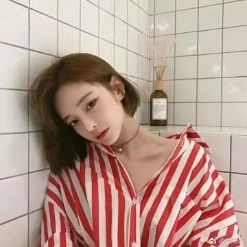 弄臣